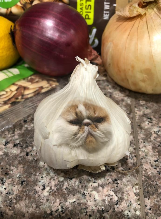 Pickles garlic skin NFT artwork