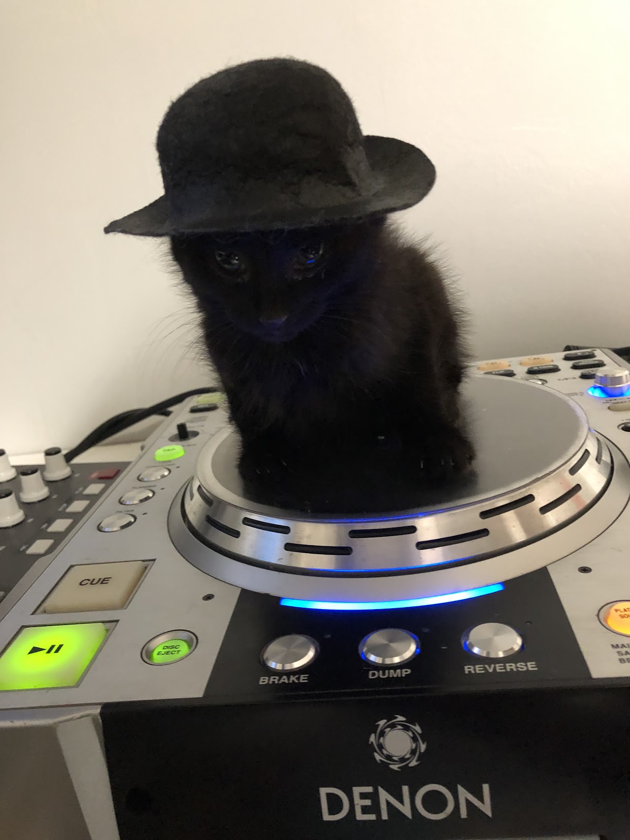 Cleaning for Halloween artwork